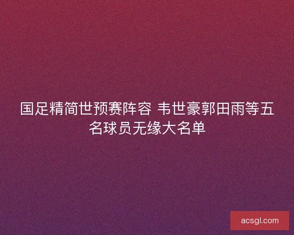 国足精简世预赛阵容 韦世豪郭田雨等五名球员无缘大名单